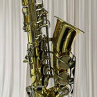 Yamaha AS-100 Alto Saxophone - Professional Quality Instrument with Hard Case - Image 7