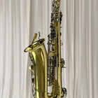 Yamaha AS-100 Alto Saxophone - Professional Quality Instrument with Hard Case - Image 6