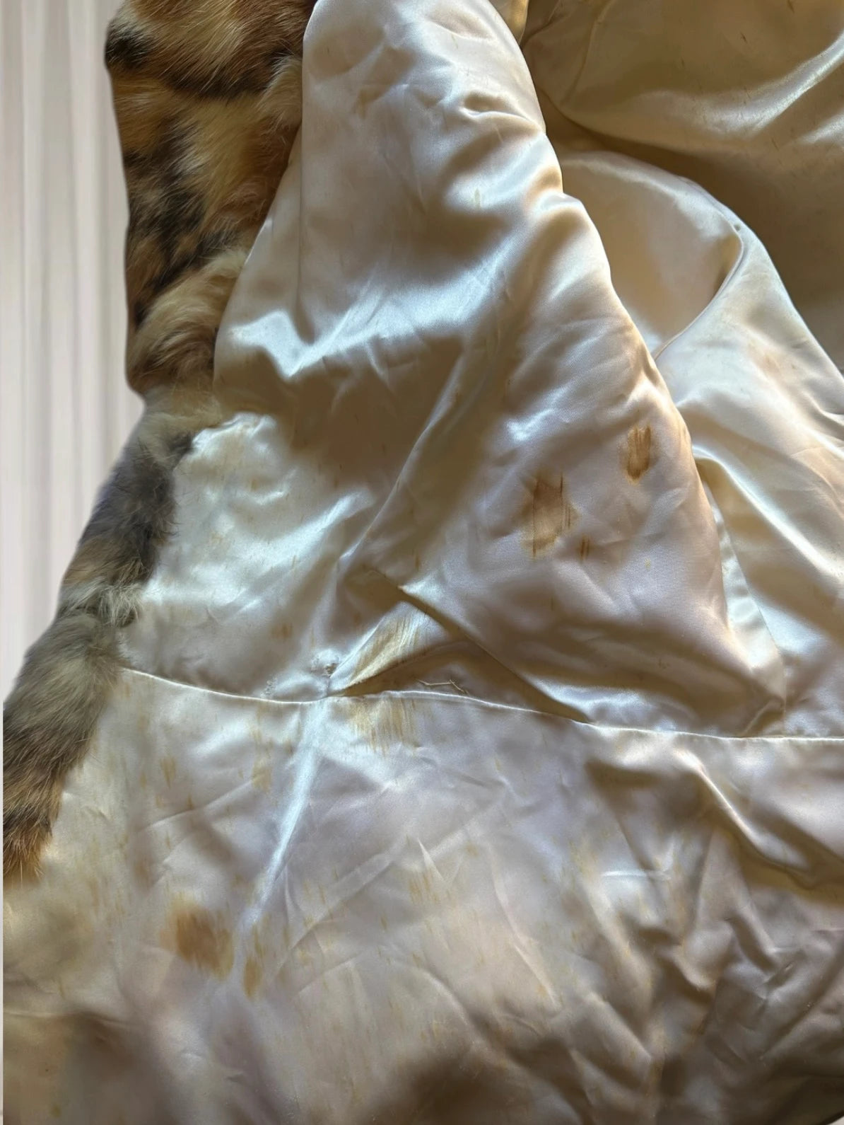 APLA Vintage Rabbit Fur Jacket - Luxurious Spotted Pattern Coat M - Image 7