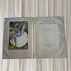 A Bunch of Wild Flowers by Ida Rentoul Outhwaite - Vintage Antique Book - Image 1