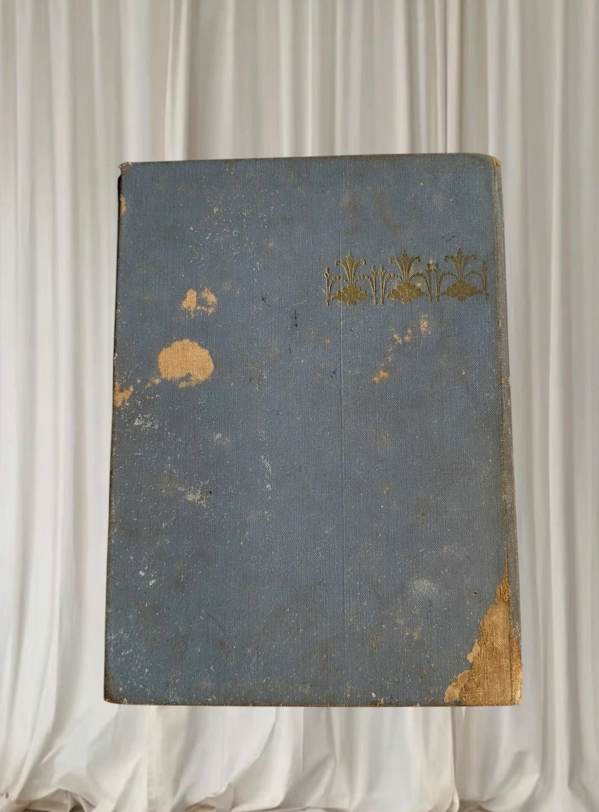 A Bunch of Wild Flowers by Ida Rentoul Outhwaite - Vintage Antique Book - Image 8