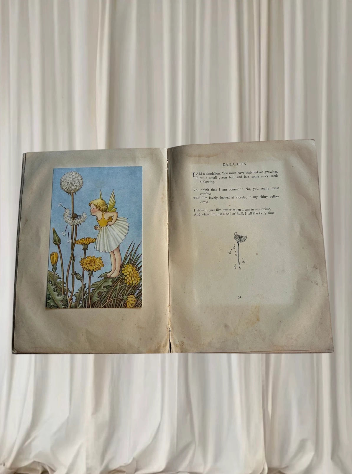 A Bunch of Wild Flowers by Ida Rentoul Outhwaite - Vintage Antique Book - Image 4