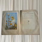 A Bunch of Wild Flowers by Ida Rentoul Outhwaite - Vintage Antique Book - Image 4