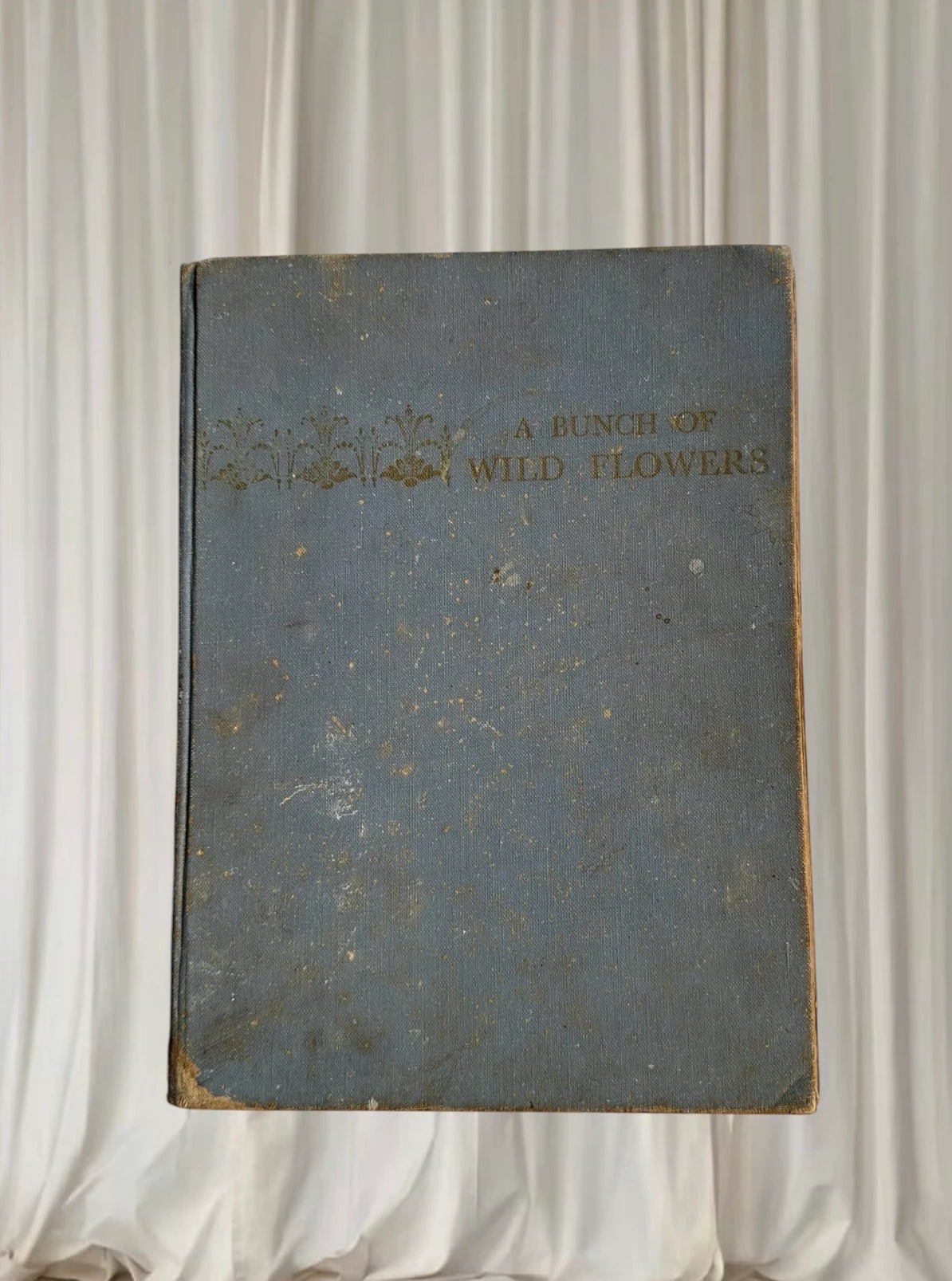 A Bunch of Wild Flowers by Ida Rentoul Outhwaite - Vintage Antique Book - Image 3