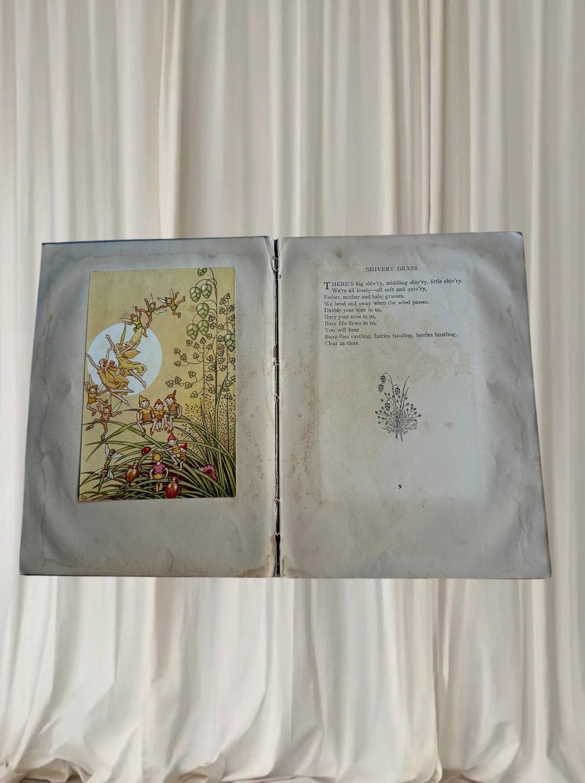 A Bunch of Wild Flowers by Ida Rentoul Outhwaite - Vintage Antique Book - Image 5