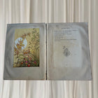 A Bunch of Wild Flowers by Ida Rentoul Outhwaite - Vintage Antique Book - Image 5
