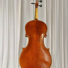 Amore Violin Outfit Animato Strings Student Series 4/4 - Complete With Case and Bow - Image 3