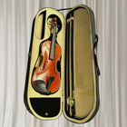 Amore Violin Outfit Animato Strings Student Series 4/4 - Complete With Case and Bow - Image 1