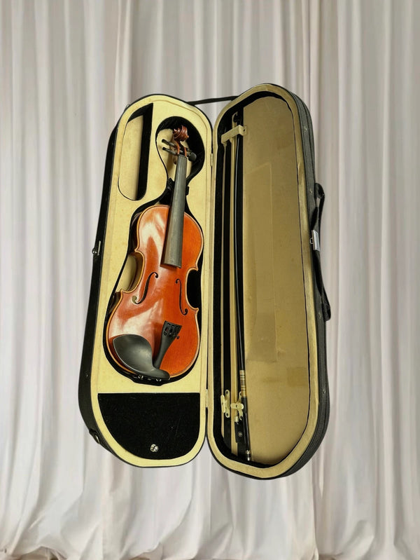 Amore Violin Outfit Animato Strings Student Series 4/4 - Complete With Case and Bow - Image 1