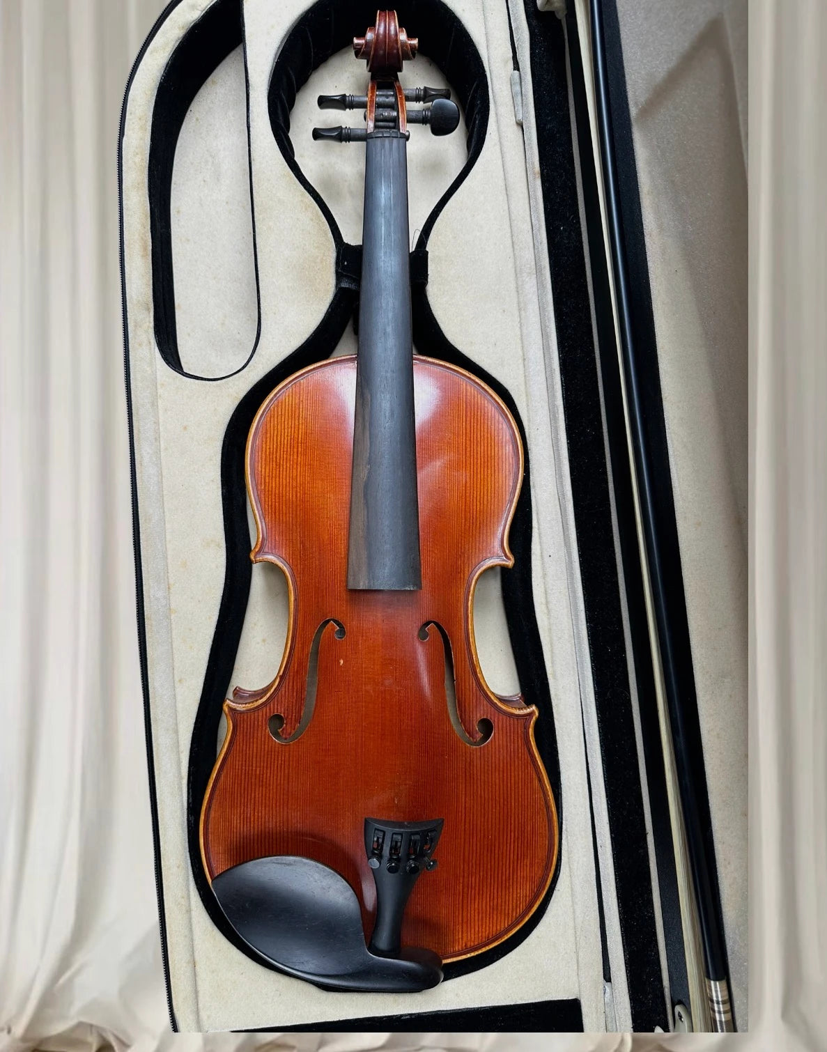 Amore Violin Outfit Animato Strings Student Series 4/4 - Complete With Case and Bow - Image 2
