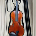 Amore Violin Outfit Animato Strings Student Series 4/4 - Complete With Case and Bow - Image 2