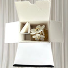 Marc Jacobs Daisy Travel Exclusive Gift Set EDT 100ml Lotion 75ml NEW - Image 5