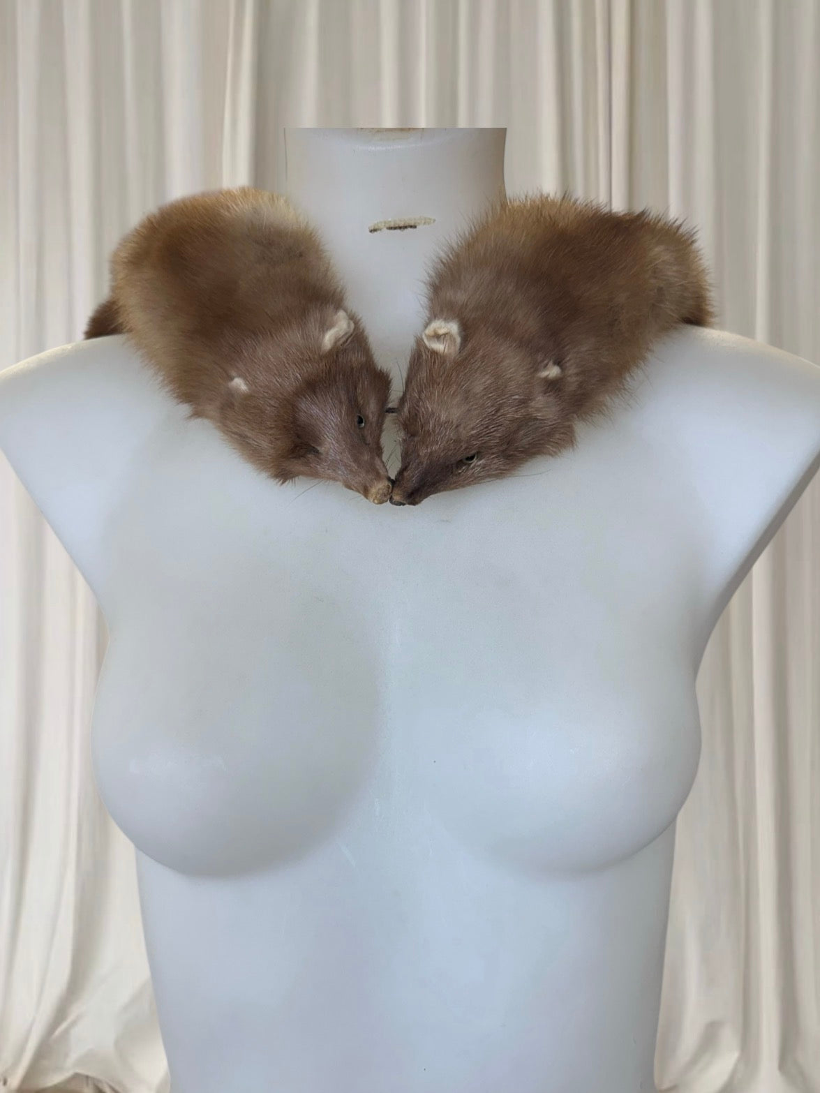 Genuine Fur Taxidermy Ferret Shawl Scarf – Vintage Statement Fur Wrap