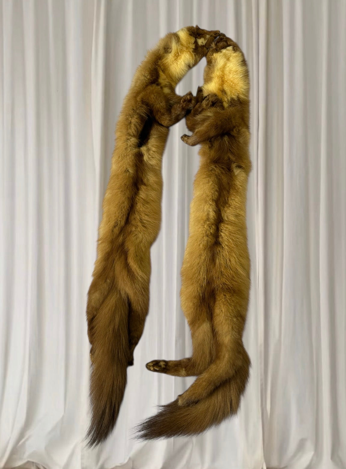 Genuine Fur Taxidermy Ferret Shawl Scarf – Vintage Statement Fur Wrap