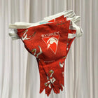 Sydney Swans AFL Bunting Flags - Red Triangular Fan Decor - Image 1