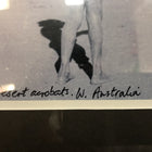 Alastair McLaughlin Desert Acrobats Framed